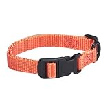 18-26IN LG ADJ DOG COLLAR MA