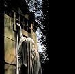 Within the Realm of Dying Sun