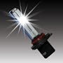 Zenex H10 6000K HID Xenon Bulb (1 Pair, Diamond White)