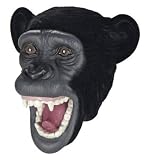 41DVEVT4XFL. SL160  Safari Ltd chimpanzee puppet
