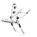 Thule 910601 ClipOn High, Gr��e 2; Fahrradtr�ger f�r die Heckklappe
