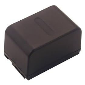 Battery-Biz Inc. 4.8 Volt NiMH Camcorder Battery