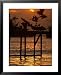 Pelicans Congregate on Pier at Chorro Beach, Arica, Tarapaca, Chile Animals Framed Art Poster Print by Paul Kennedy, 25x31