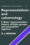 Representations and Cohomology: Basic Representation Theory of Finite Groups and Associative Algebras v. 1 (Cambridge Studies in Advanced Mathematics): ... (Cambridge Studies in Advanced Mathematics)