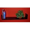 Flying Nun Wall Shelf - Black (Black) (6" H x 33" W x 9" D)