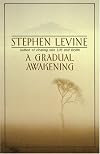 A Gradual Awakening