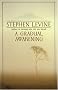 Gradual Awakening, a