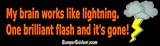 My brain is like lightning. One brilliant flash and it’s gone! – funny bumper stickers (Large 14×4 inches) Reviews My brain is like lightning. One brilliant flash and it’s gone! – funny bumper stickers (Large 14×4 inches) Reviews