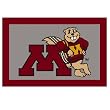 University of Minnesota Rug - Maroon/ Gray (Rectangle)
