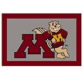 University of Minnesota Rug - Maroon/ Gray (Rectangle)