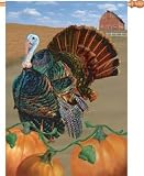 Turkey Run