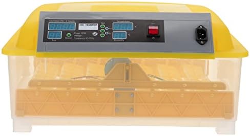 MountainNet Digital Clear 48 Eggs Incubator Hatcher Fully Automatic Temperature Control Egg Turning(per 2 Hours) Poultry Hatcher Chicken Duck Quail Goose
