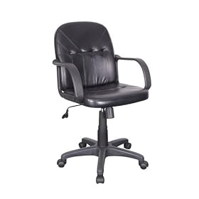 Adjustable Computer Chair with Casters by ezHomespree
