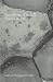 cover image for 9780951263112