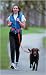 The Buddy System - Hands Free Leash - Regular Dog System - Black XLarge