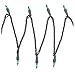 Bethlehem Lighting Indoor/Outdoor Miniature 50-Christmas Light Set, Green with Green Wire