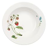 Villeroy & Boch Wildberries 73/4Inch Salad Dish