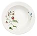 Villeroy & Boch Wildberries 73/4Inch Salad Dish