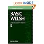 Basic Welsh: A Grammar and Workbook (Routledge Grammars)