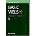 Basic Welsh: A Grammar and Workbook (Routledge Grammars)