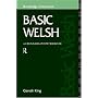Basic Welsh: A Grammar and Workbook (Routledge Grammars)