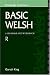 Basic Welsh: A Grammar and Workbook (Routledge Grammars)
