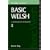 Basic Welsh: A Grammar and Workbook (Routledge Grammars)