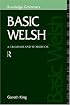 Basic Welsh: A Grammar and Workbook (Routledge Grammars)