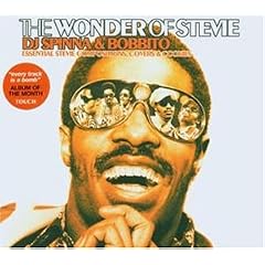 The Wonder of Stevie - DJ Spinna & Bobbito