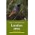 Where to Watch Birds in the London Area (Where to Watch Birds)