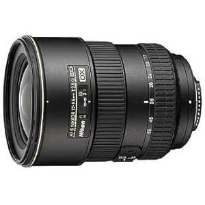 Nikon AF-S DX 17-55mm f/2.8 G IF ED Zoom grand angulaire Pro pour reflex num ériques format Nikon DX