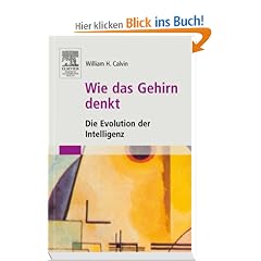 Wie das Gehirn denkt: Die Evolution der Intelligenz