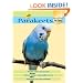 Parakeets (Practical Pet Care)