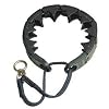 StarMark Training Collar, Large, Blue
