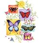 Butterflies Womens T-Shirt Dress