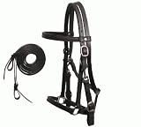 PREMIUM AUSSIE Halter Bridle Combo with Reins