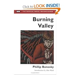 Burning Valley (Radical Novel Reconsidered)