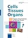 Books : Progress In Gene Technology And Skin Gene Therapy: Special Issue Cells Tissues Organs 2004