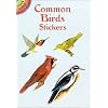 Common Birds Stickers (Dover Little Activity Books Stickers)