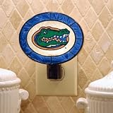 Florida Gators Art Glass Nightlight
