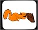 Mouse Pad with eating, cone, squirrel, pine, food, hibernation