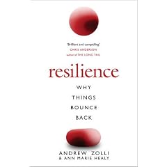 Resilience: Why Things Bounce Back