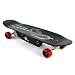 250W Electric Skateboard 250C-K