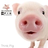 THE��PIG 2009ǯ��������