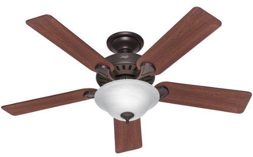 Hunter 53250 Pro S Best 52 Inch 5 Blade Single Light Five Minute