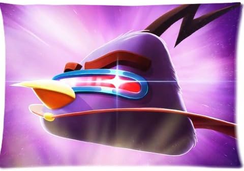 Angry Birds Space Pillowcases Custom Pillow Case Cushion Cover 20 X 30 Inch Two Sides