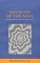 Medicine of the Soul : Foundations of Natural Spirituality