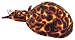 Zan Headgear Flydanna Large Multi Flame Print