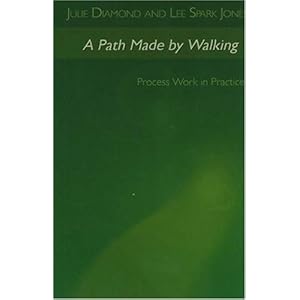 A Path Made Walking: Process Work in Practice