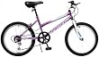 Pacific Chromium Girls' Mountain Bike (20-Inch Wheels)
